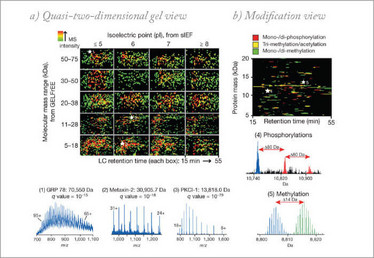 Multidimensional LC Separations in Shotgun Proteomics