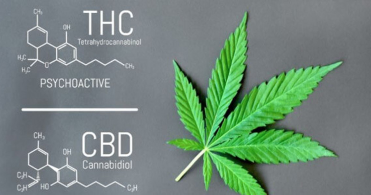 Extraction of THC Metabolites in Urine using the Empore™ Membrane C18 ...