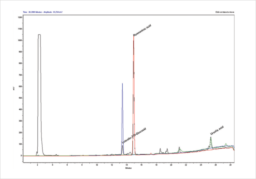 Vwr Hitachi Chromaster With Diode Array And Low Temperature Evaporative Light Scattering Detectors Elsd