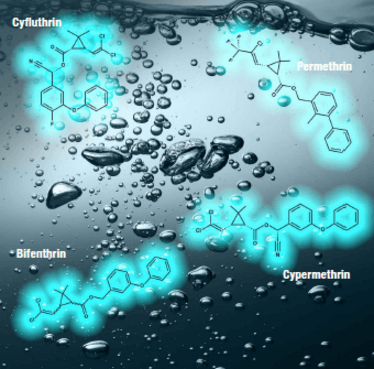 Image showing the Molecules Cyfluthrin, Permethrin, Bifenthrin, Cypermethrin