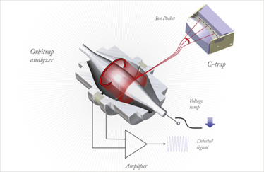 1013 Orbitrap diagram