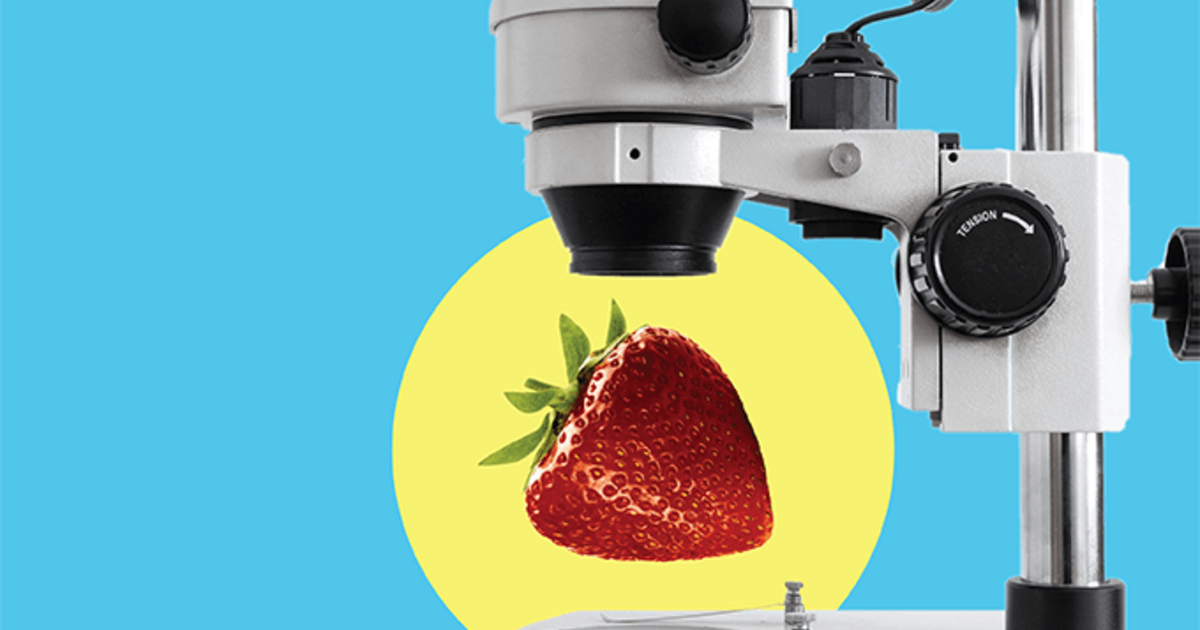 Raman Spectroscopys Future In Food