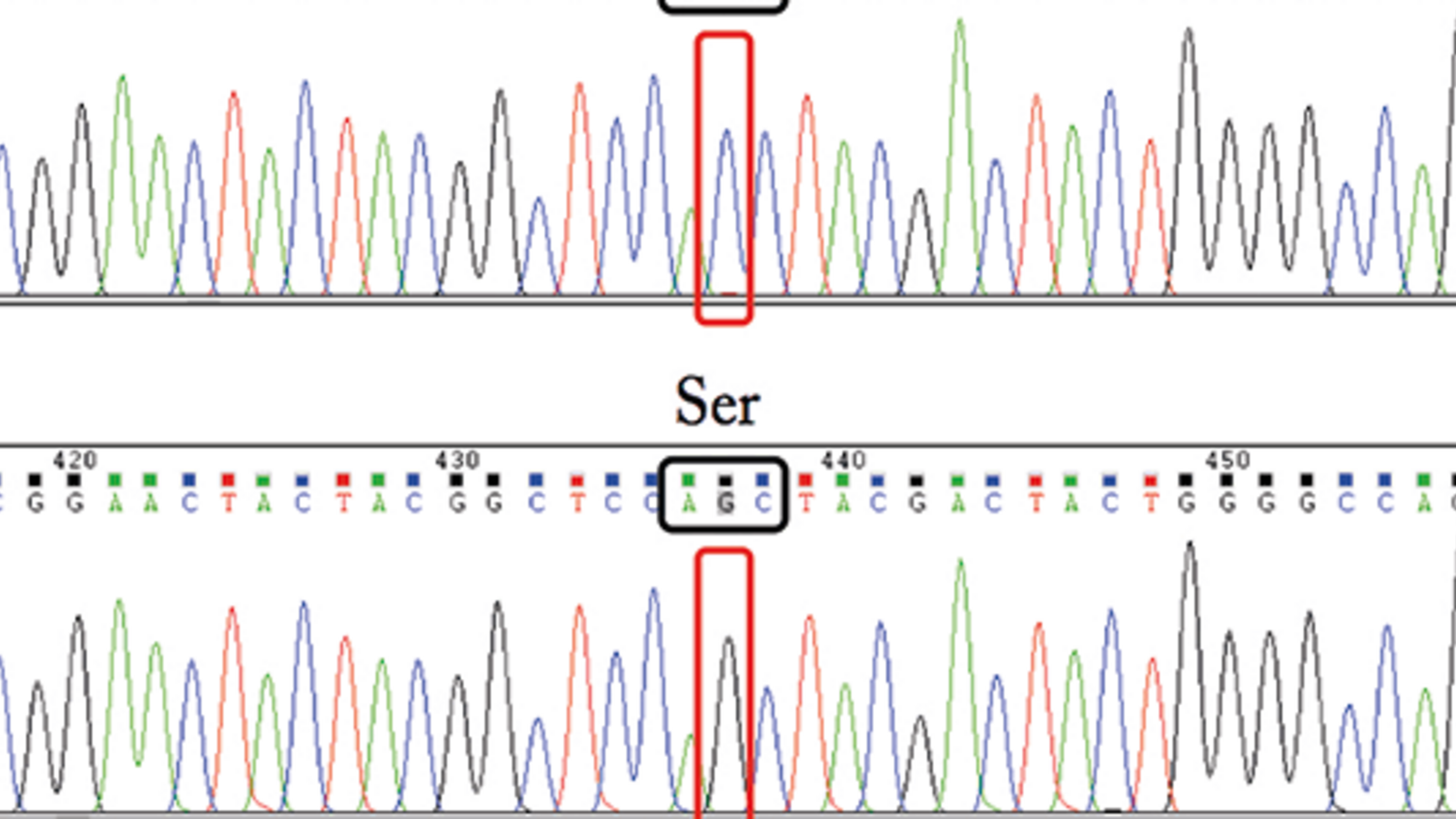 Taming Biopharma With 2d Separations - 