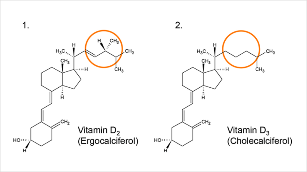 Vitamin D2 And D3 Separation By New Highly Hydrophobic Uhplc