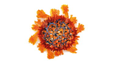 A sneak preview of one of the micro/macro coronavirus-inspired sculptures by Rebecca Kamen