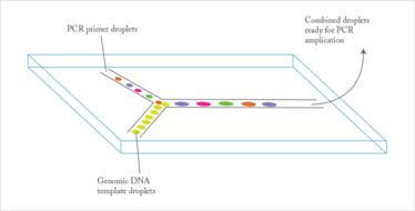 Graphic Droplet-based PCR 