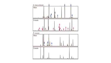 1013-201-fig1