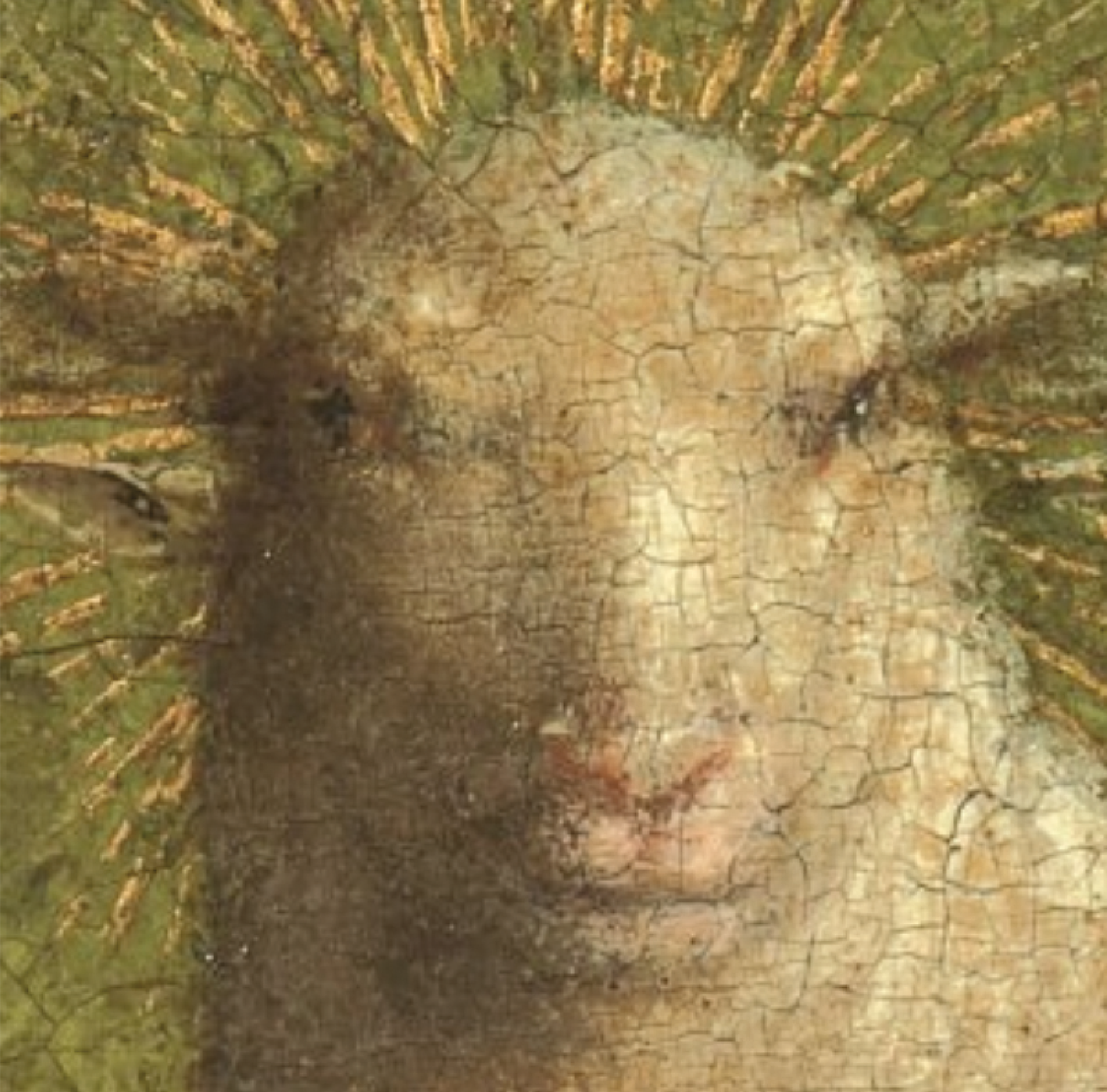 Image of the Month: Mutton Dressed as Lamb?