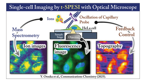 0525-101-AI-News-Novel-technology-enables-better-understanding-of-complex-biological-samples_Figure.png