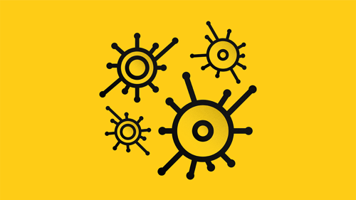 0625-106-Characterizing-CAR-T-cells_Teaser.png