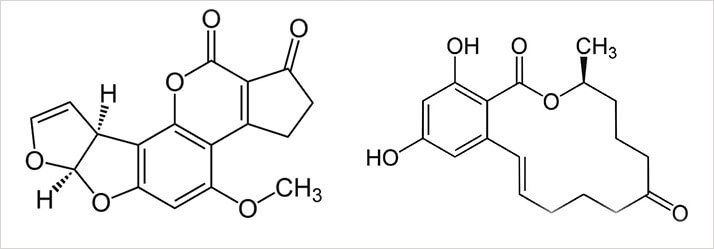 Structures of Aflatoxin B1 and Zearalenone