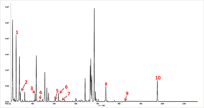 Figure 1. Analytical Ion Chromatogram