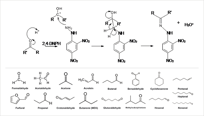 Figure 1. Derivitisation reaction of carbonyl group