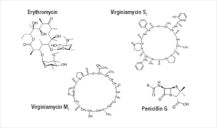 FIG 1
