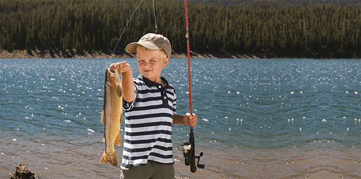 app note 083-014 fish img