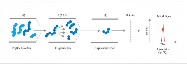 Fig 4: Multiple reaction monitoring