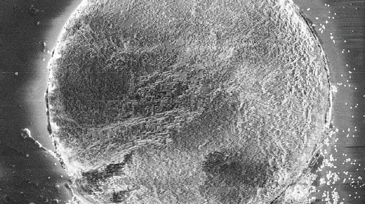 Fig 4. SEM image of full capillary cross-section, with 470 nm particles.