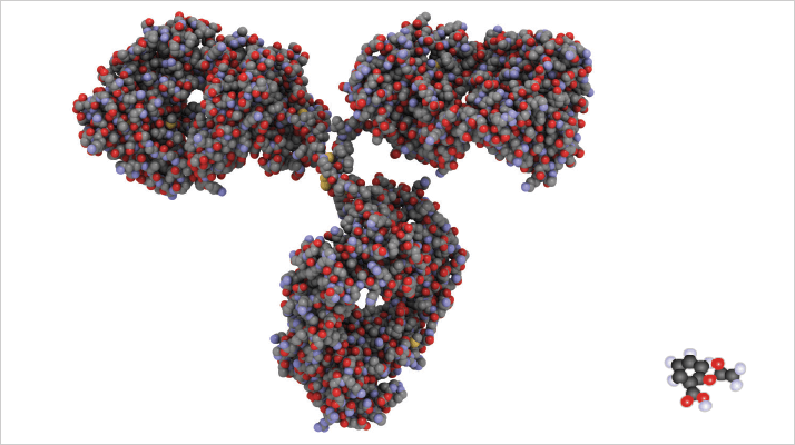 The relative size and complexity of biologic and small molecule drug