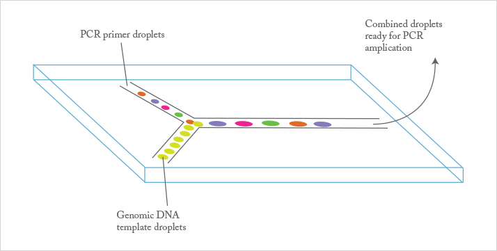 Graphic Droplet-based PCR
