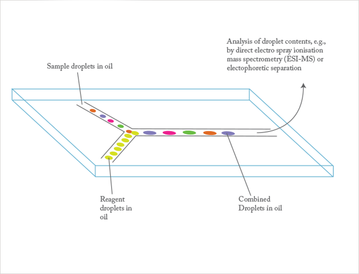 Graphic of Droplet assays