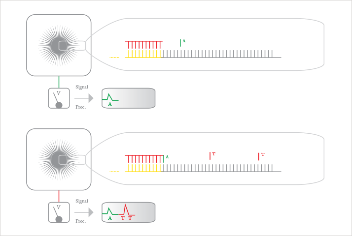 Graphic of Ion Torrent