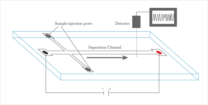Microchip CE