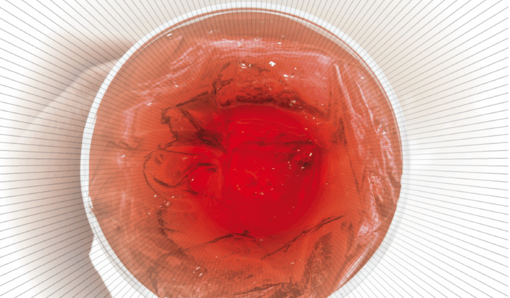 Keyvisual of Juicing Up Food Fraud Detection