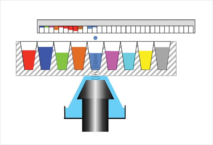 1013-203-fig.1