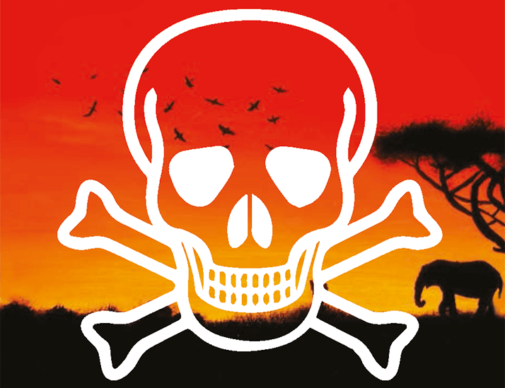 0913-501-main-skull