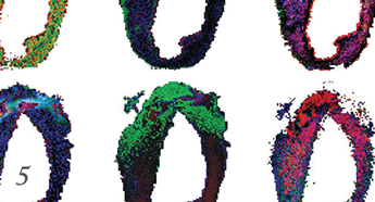 1214-205-5-345