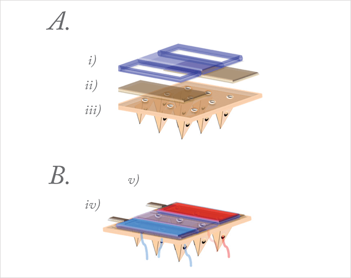 0314-402.fig4