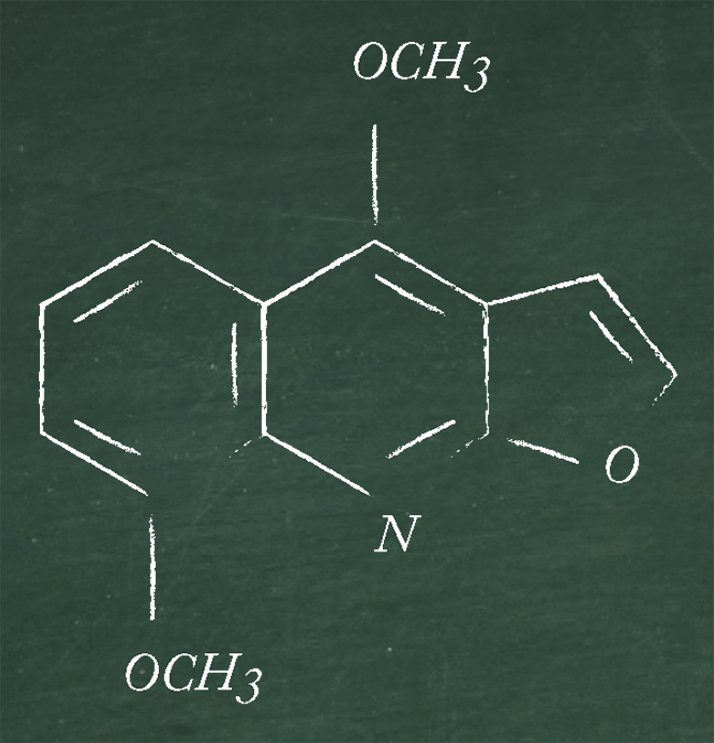 0514-402-fig 4