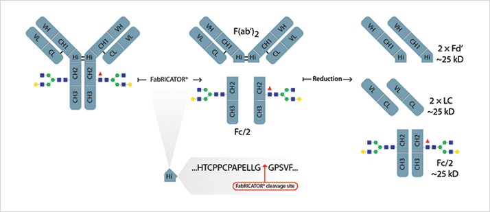0514-701-fig.1