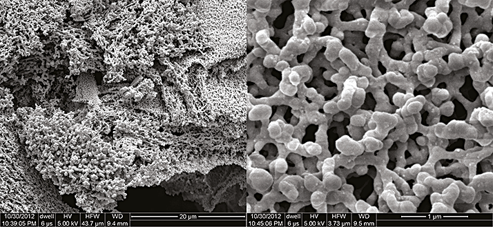 0514-203-fig.1