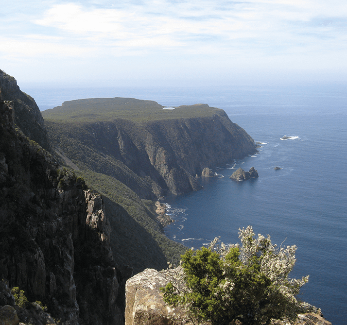 1014-201-antipodean-main