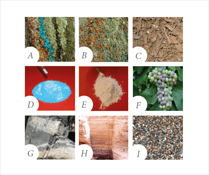 1014-402-fig.1