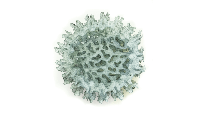 One of the 28 graphite-on-mylar sculptures of SARS-CoV-2 that make up Kamen